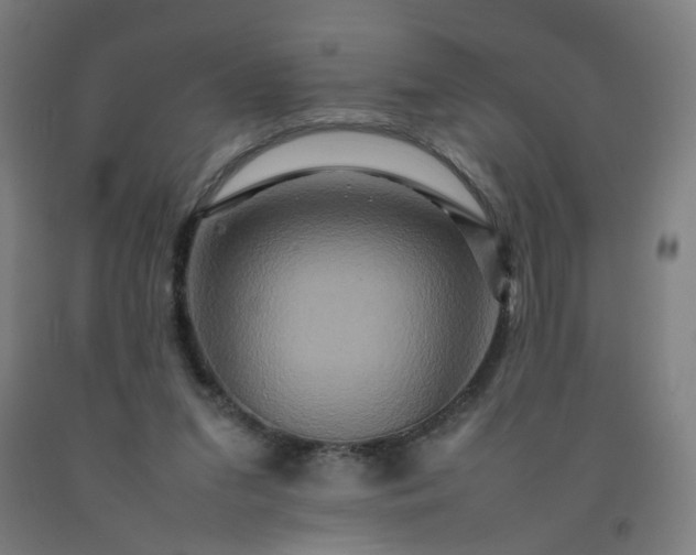 X0000092230207200709281111