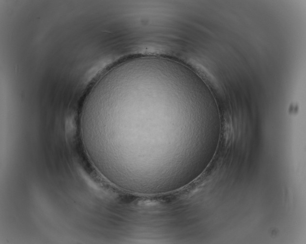 X0000092230208200709281111