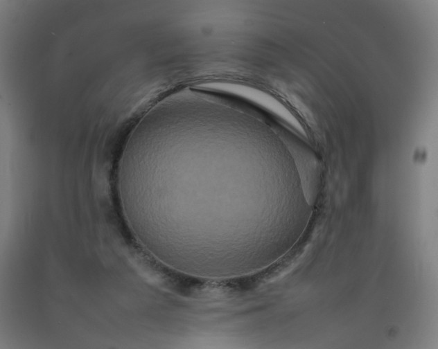 X0000092230209200709281111