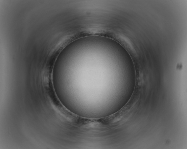 X0000092230210200709281111