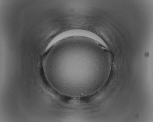 X0000092230211200709281111