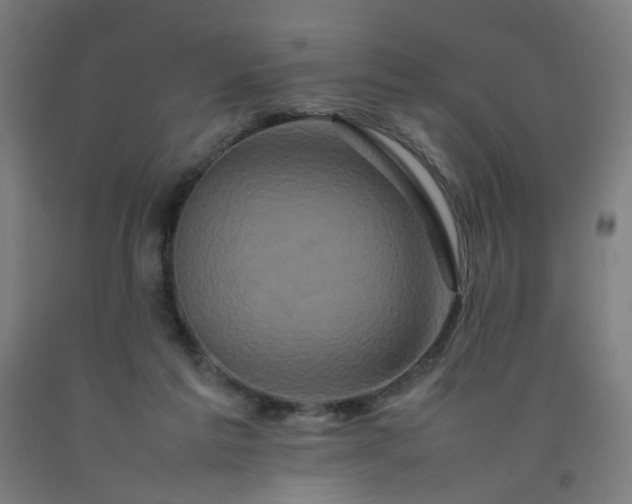 X0000092230213200709281111