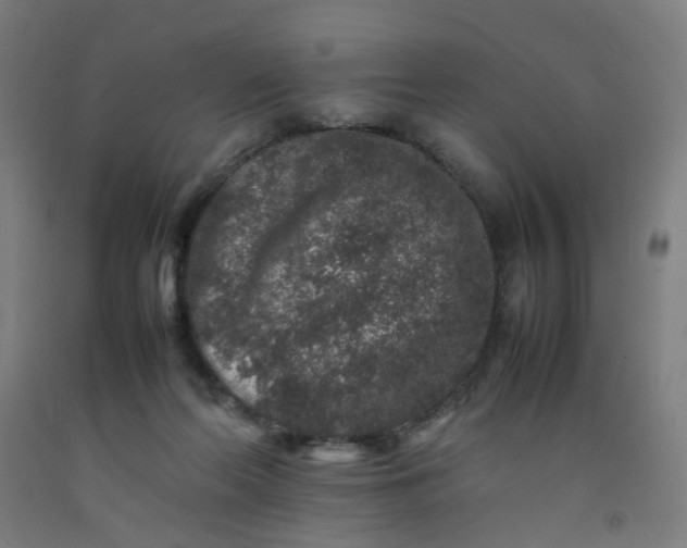 X0000092230214200709281111