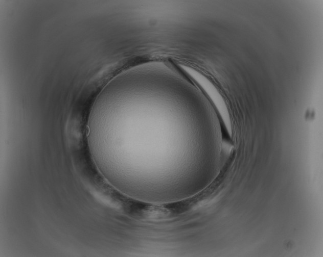 X0000092230215200709281111