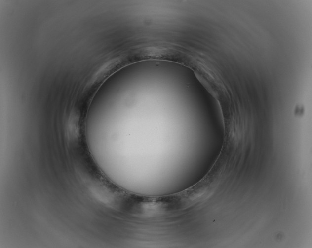 X0000092230216200709281111