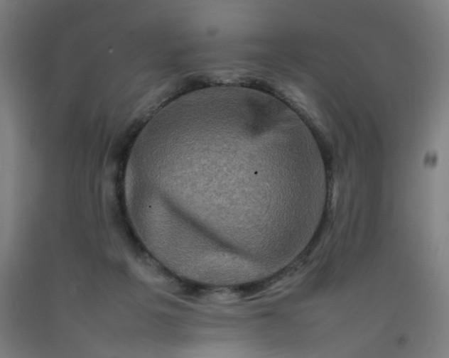 X0000092230217200709281111