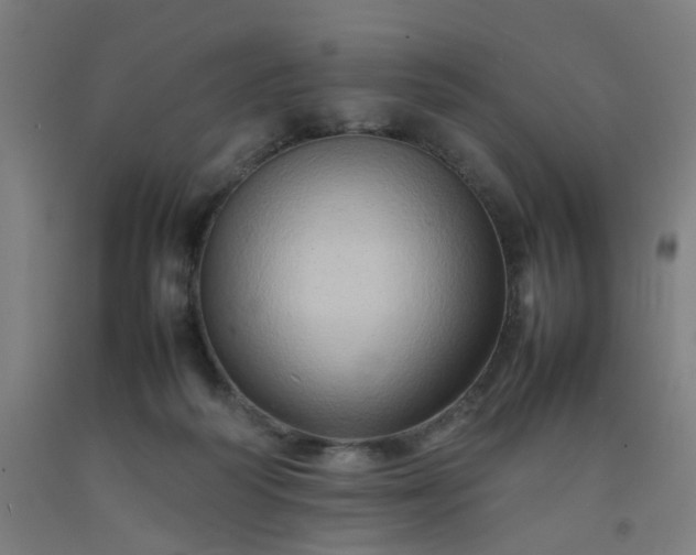 X0000092230218200709281111