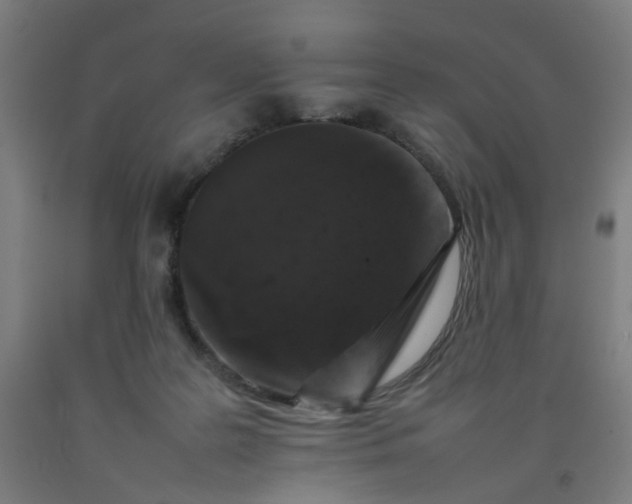 X0000092230219200709281111