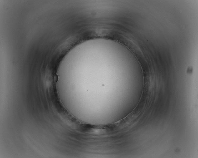 X0000092230220200709281110