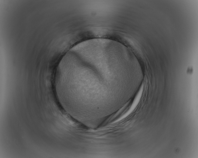 X0000092230221200709281110