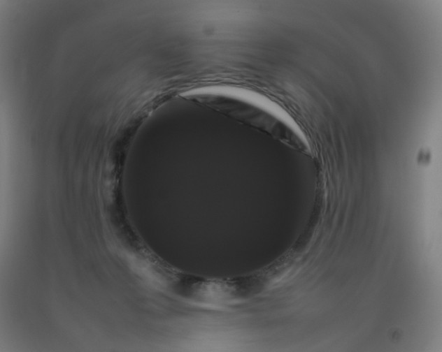 X0000092230223200709281110