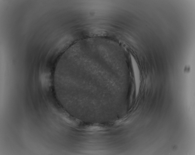 X0000092230224200709281110