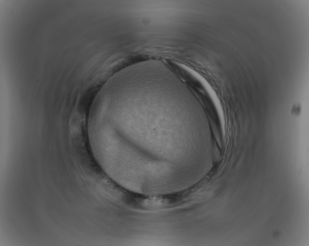 X0000092230225200709281110