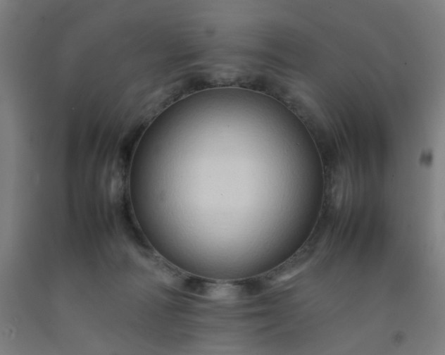 X0000092230226200709281110