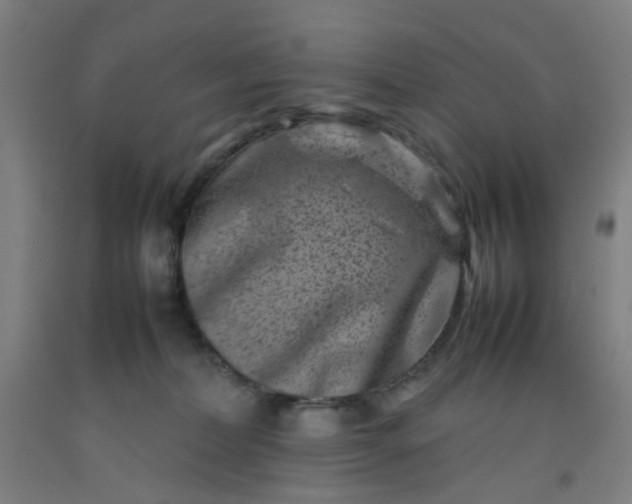 X0000092230228200709281110