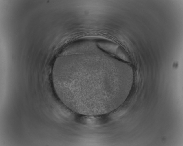 X0000092230229200709281110