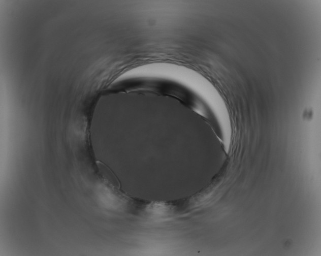 X0000092230231200709281110