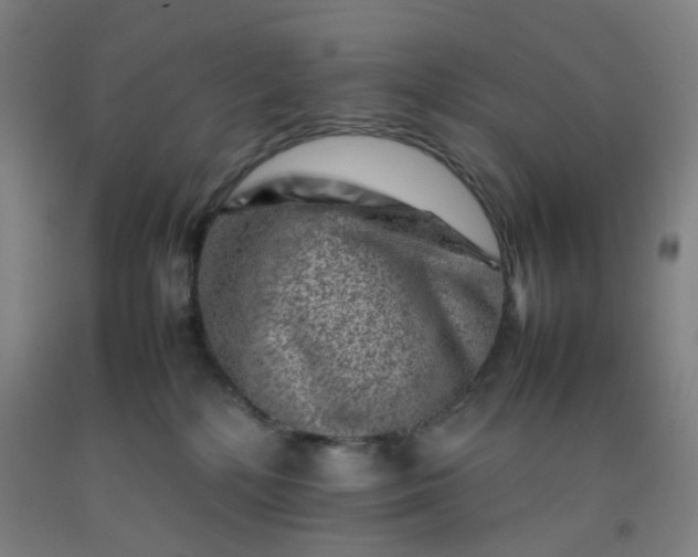 X0000092230232200709281110