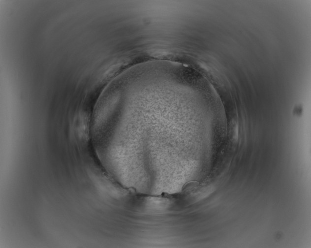 X0000092230234200709281110