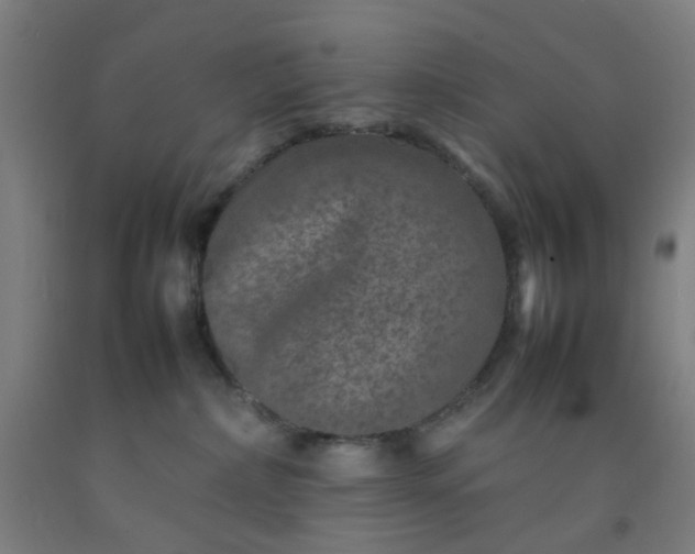 X0000092230236200709281110