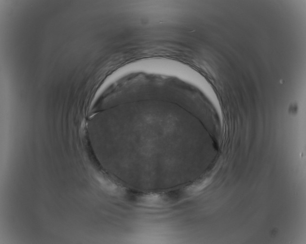 X0000092230237200709281110