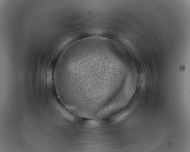 X0000092230238200709281110