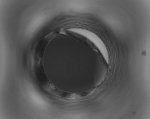 X0000092230239200709281110