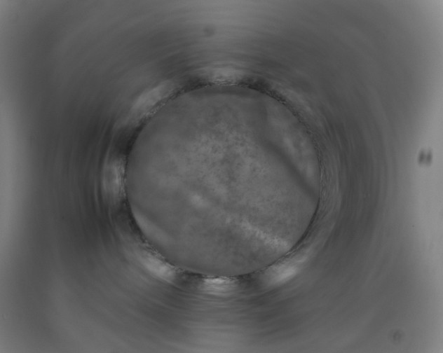 X0000092230240200709281110