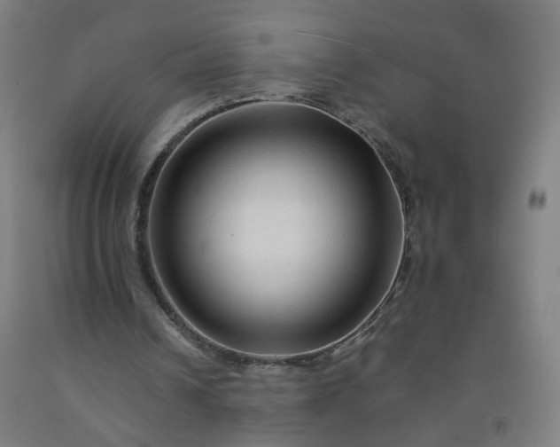 X0000092230242200709281110