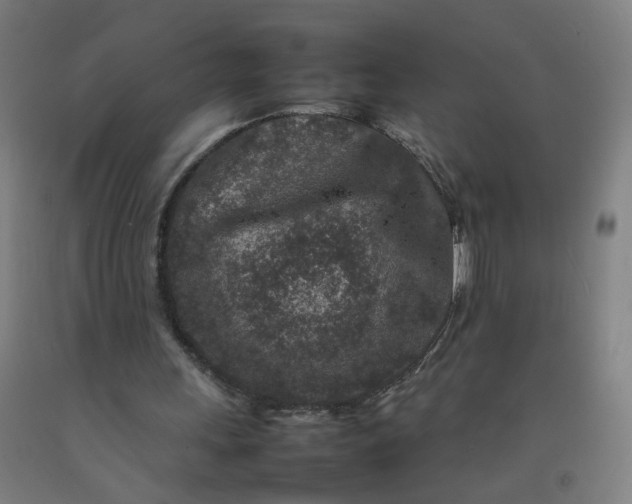 X0000092230243200709281110