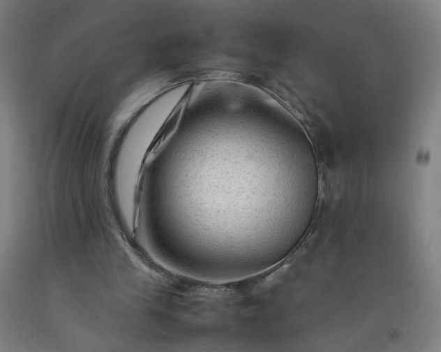 X0000092230245200709281110