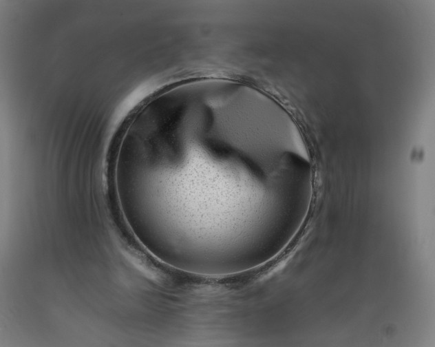 X0000092230246200709281110