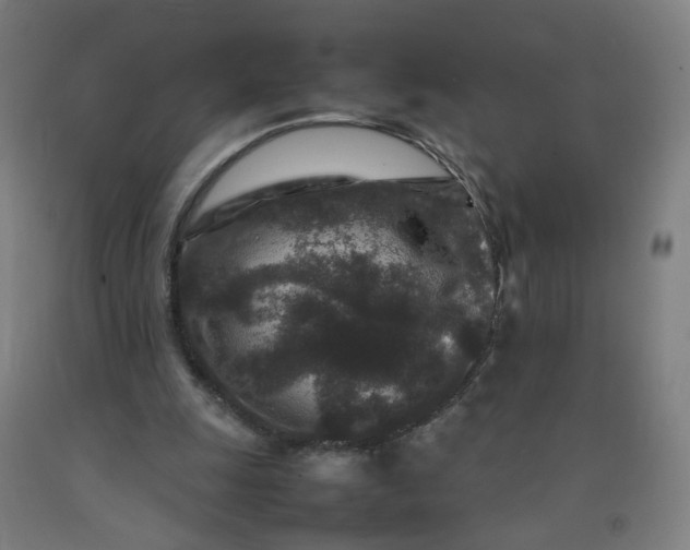 X0000092230247200709281110