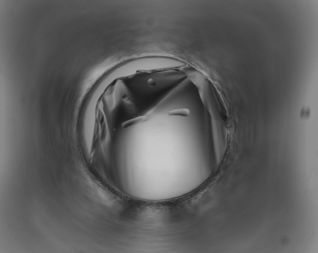 X0000092230248200709281110