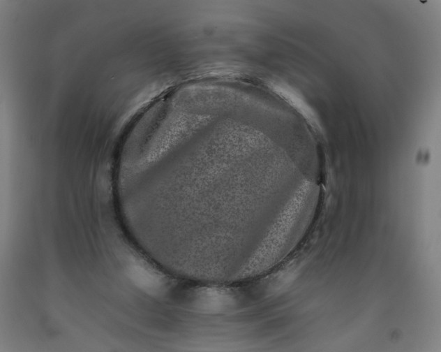 X0000092230250200709281110