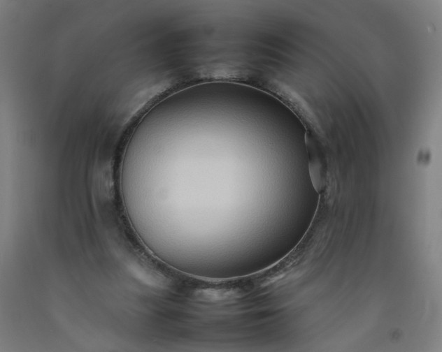 X0000092230251200709281110