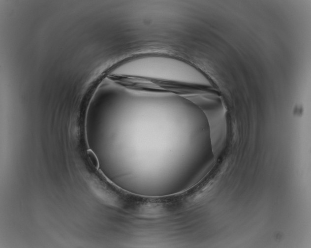 X0000092230252200709281110