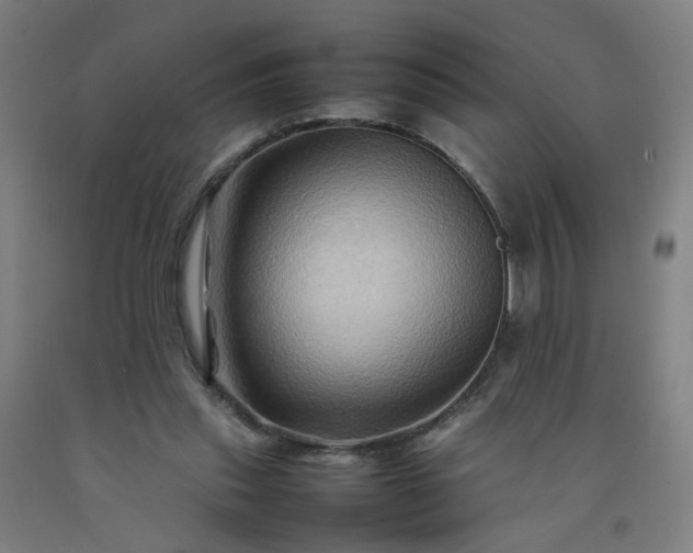 X0000092230253200709281110