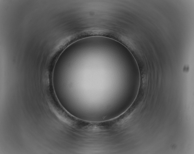 X0000092230254200709281110