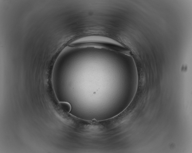 X0000092230255200709281110