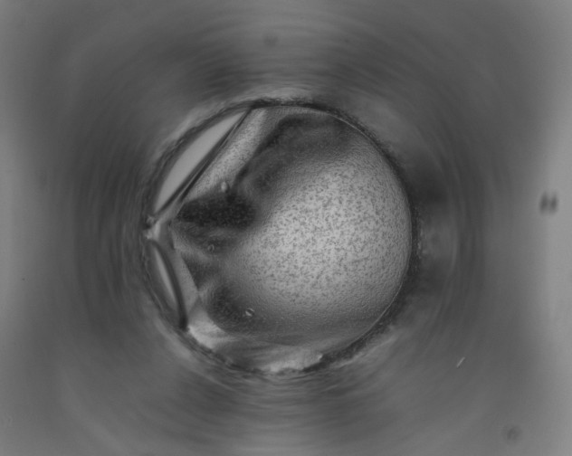 X0000092230256200709281110