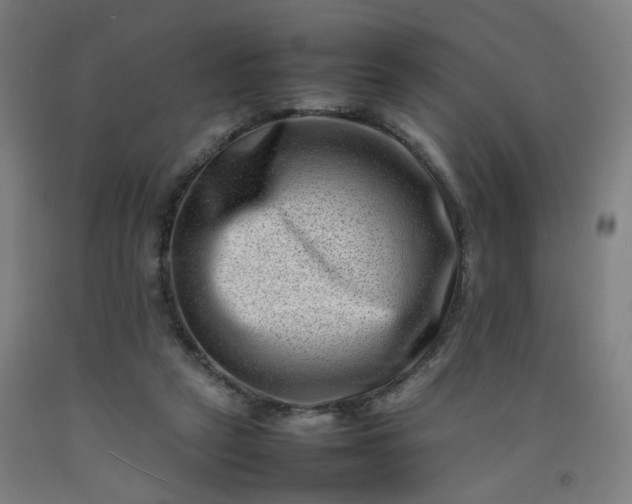 X0000092230257200709281110