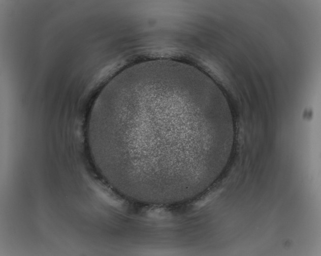 X0000092230258200709281110