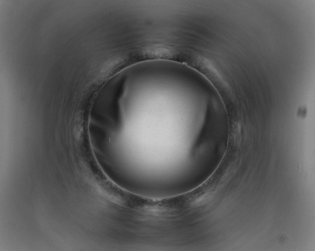 X0000092230259200709281110