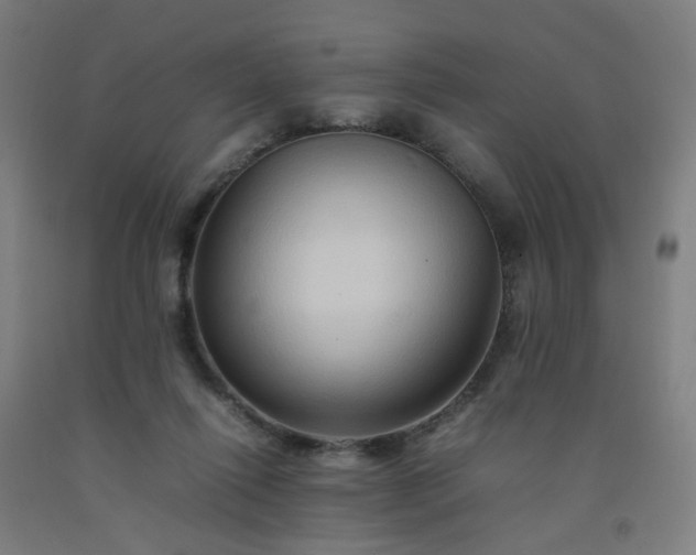 X0000092230262200709281110