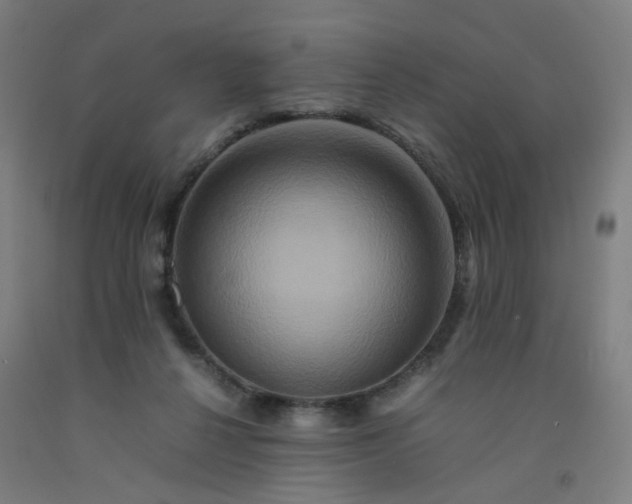 X0000092230264200709281110