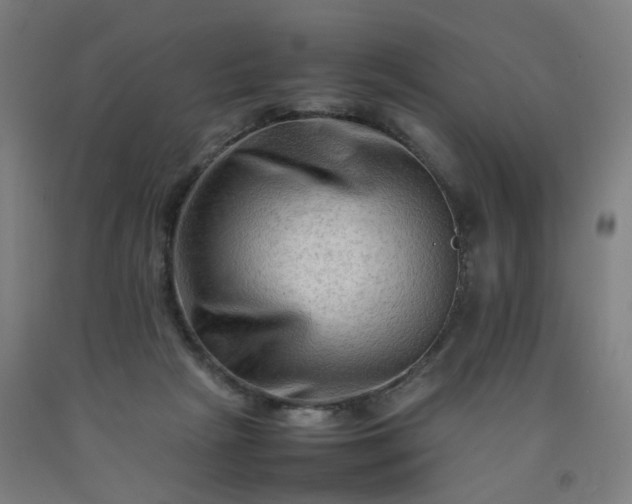 X0000092230265200709281110