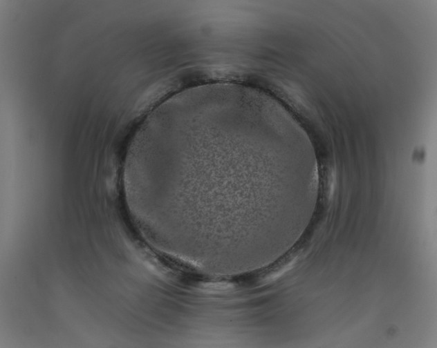 X0000092230266200709281110