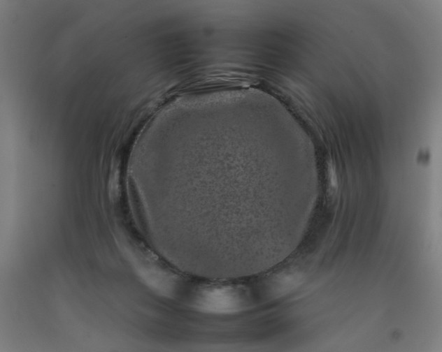 X0000092230267200709281110