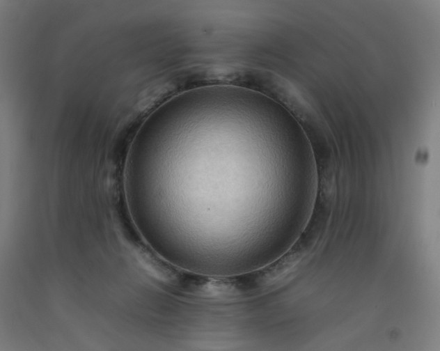 X0000092230270200709281110